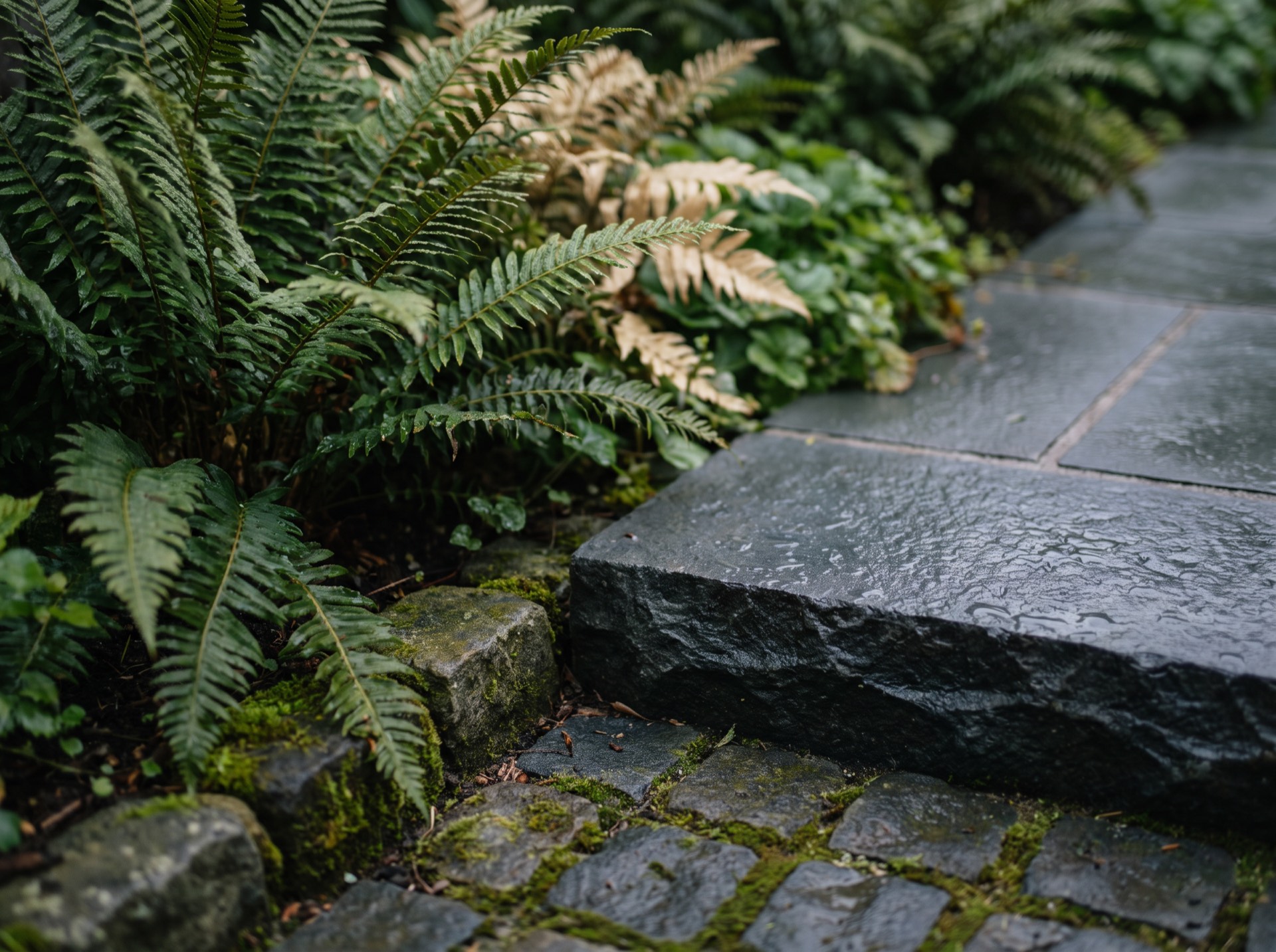 Close detail of a hand-set bluestone terrace edge meeting a bed of sword ferns and mossy basalt cobbles.