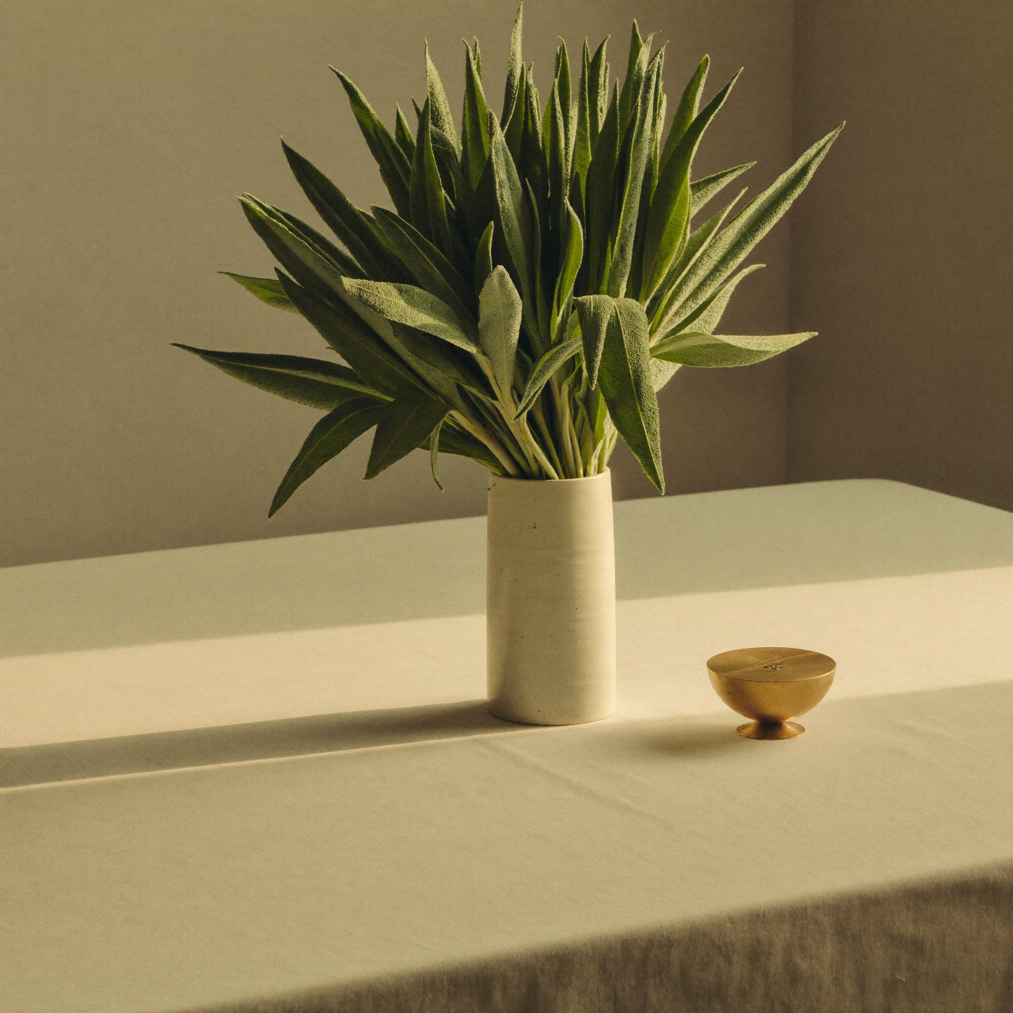 Sage sprigs in a ceramic vase on ivory linen
